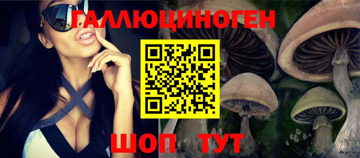 Галлюциногенные грибы Psilocybine cubensis  Галлюциногенные грибы Psilocybine cubensis  Нижний Тагил  где купить наркоту  Вход с VPN 